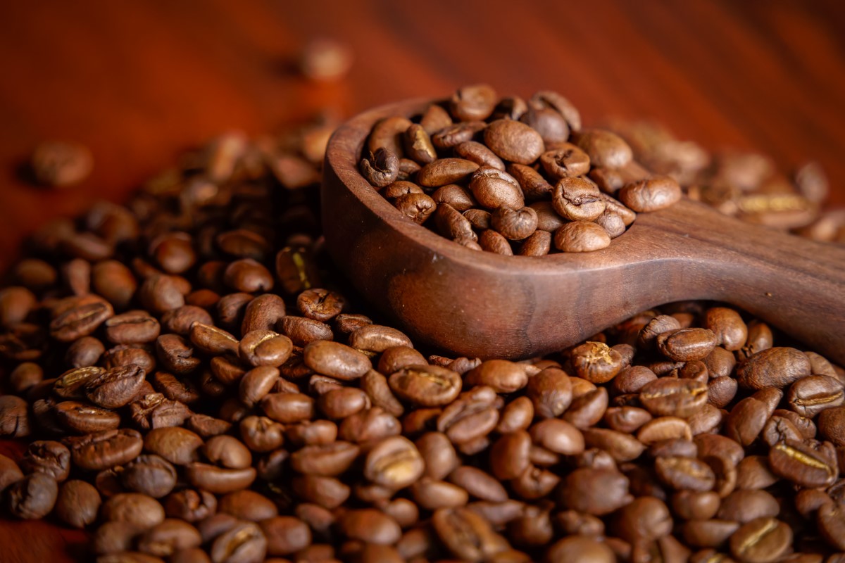 Brazil Coffee Roast Beans | Organic and Ethically Sourced